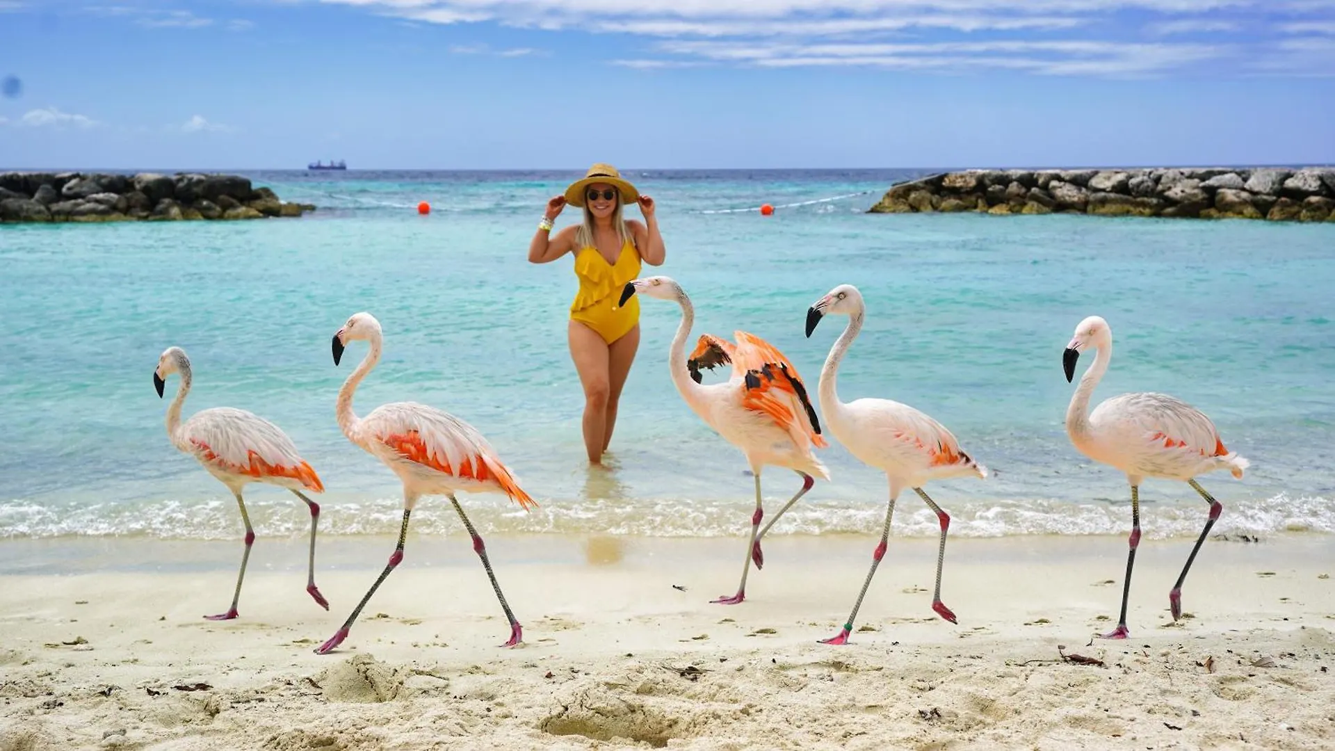Rooi Santo 128 Villa Palm Beach Aruba
