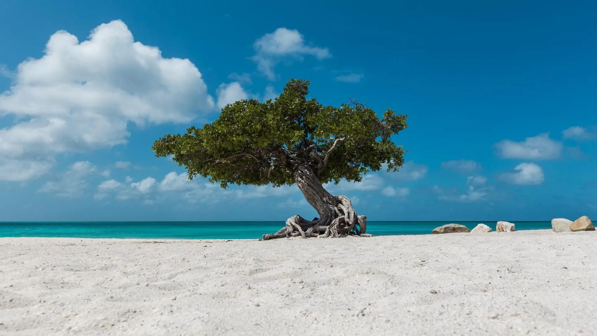 Prázdninový dům Vila Rooi Santo 128 Palm Beach